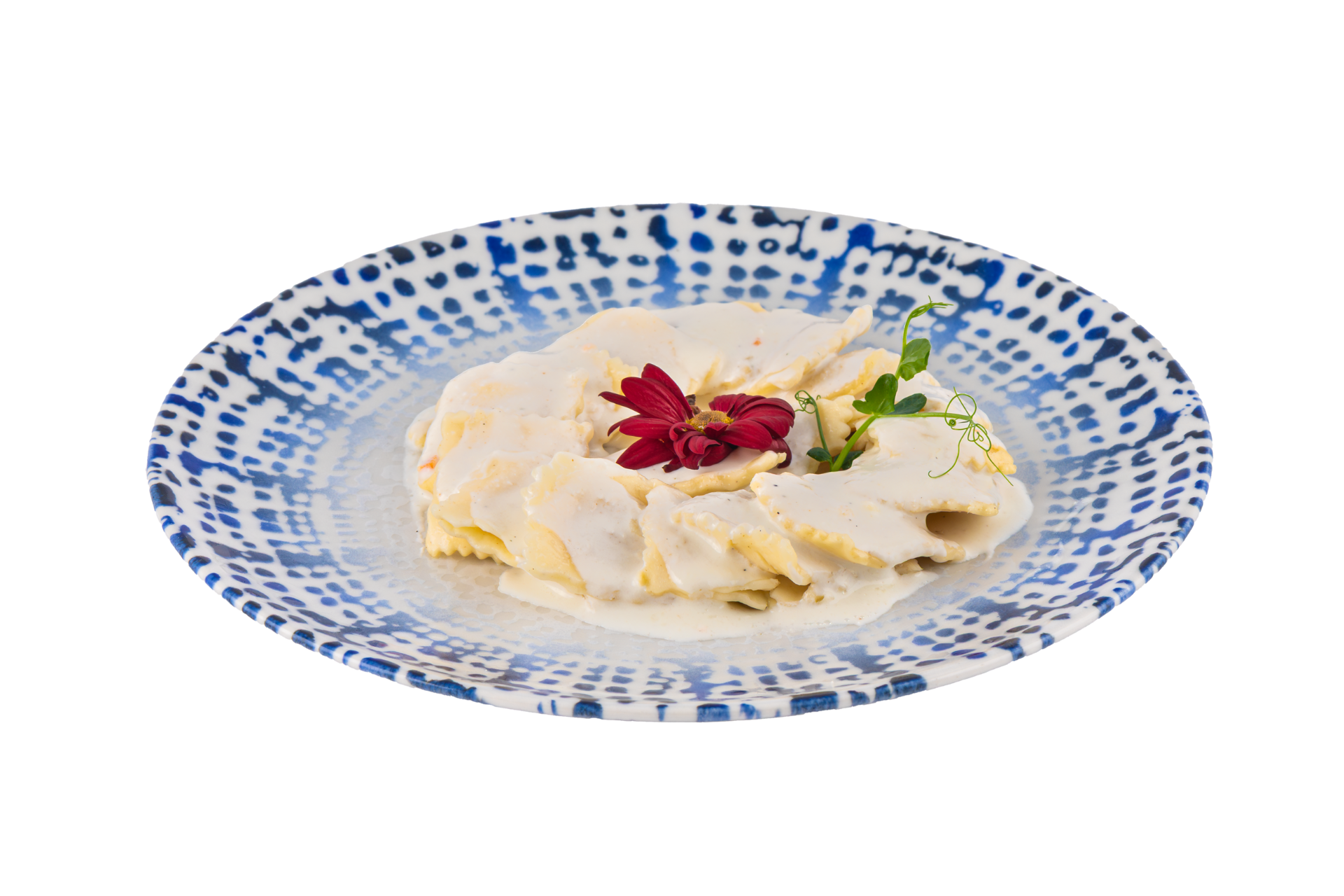 Tortellini with cheese