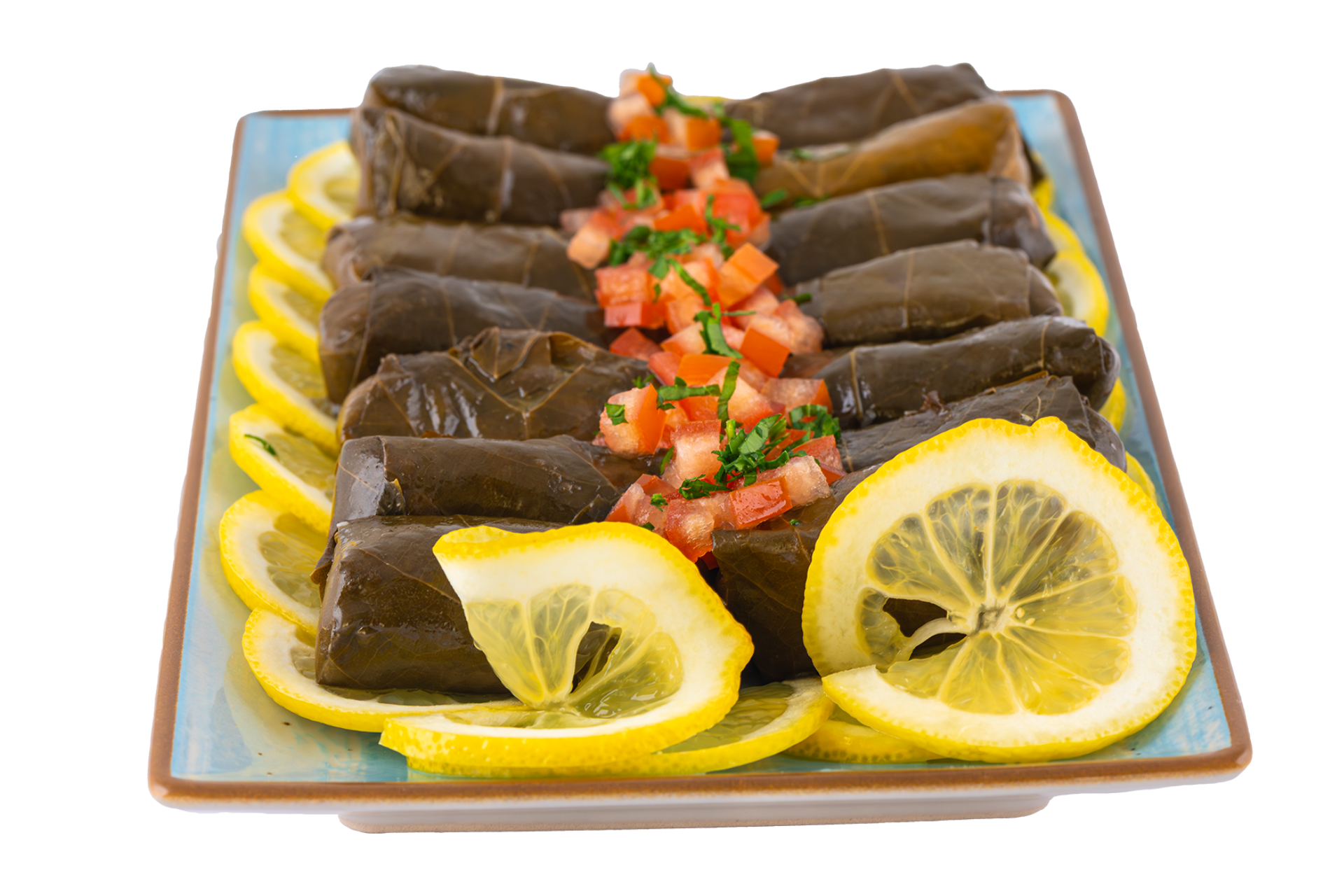 Vegeterian stuffed grape leaves